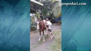 Има ли желание има и начин: Малко момиче язди кон (ВИДЕО)