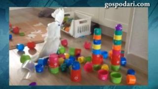 Папагал с интелект руши детски играчки (ВИДЕО)