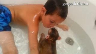 Необикновено приятелство между дете, вода и маймунка (ВИДЕО)