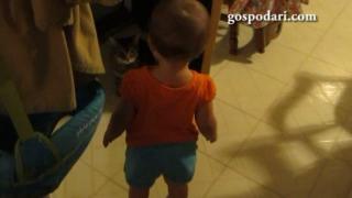 Котка и бебе в дълъг разговор (ВИДЕО)
