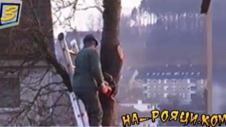 Пролетно подрязване - хем полезно, хем смешно