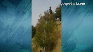 Спасителна акция за козел, заклещил рогата си на жици (ВИДЕО)