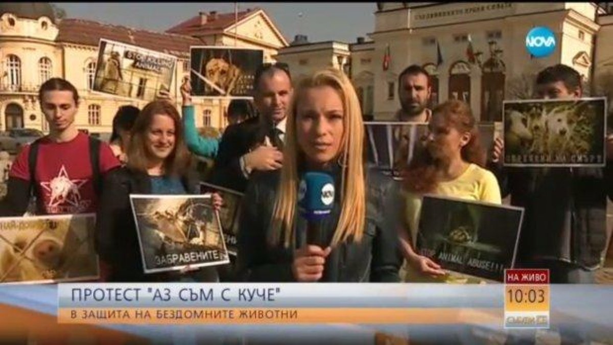 Протестиращи поискаха затварянето на мизерните приюти за кучета
