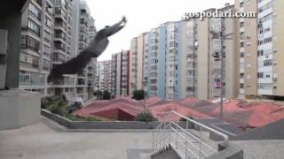 Момче покорява града с подскоци и смелост (ВИДЕО)