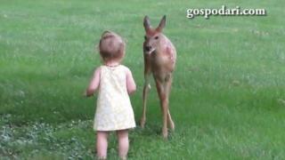 Малко дете успява да погали сърничка (ВИДЕО)