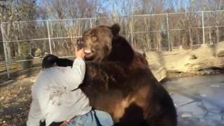 Приятелска борба между човек и мечка (ВИДЕО)