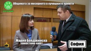 Господарите задават неудобни въпроси в Столична община заради мизерията в кучешките приюти