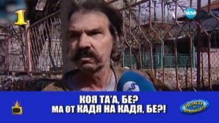 Господар на седмицата е панагюрският бик с мющерията