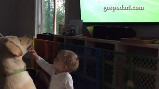 Бебе пречи на куче да гледа мач (ВИДЕО)