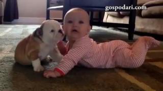 Сладко бебе срещу сладко куче, кой ще победи? (ВИДЕО)