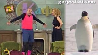 Тити Папазов нахлува при Гала като зумба пингвин