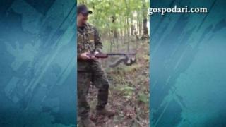 Смела катерица си играе с пушката на ловец (ВИДЕО)