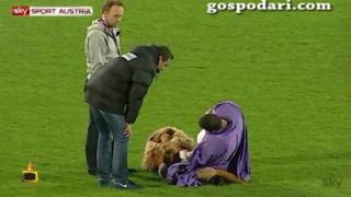 Пиян талисман на футболен отбор - трябва да е лъв, но се е напил на куче