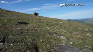 Планинар се изправя срещу мечка гризли и се спасява с хитрост (ВИДЕО)