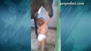 Грижовно бебе храни кон (ВИДЕО)