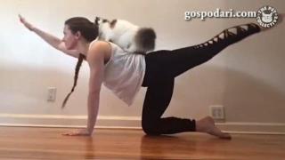 Йога упражнения с котка (ВИДЕО)