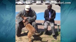 Куче спасява човек от нападение с нож (ВИДЕО)