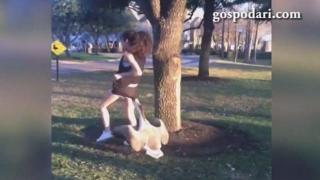 Ядосана гъска напада досадна жена в градски парк (ВИДЕО)
