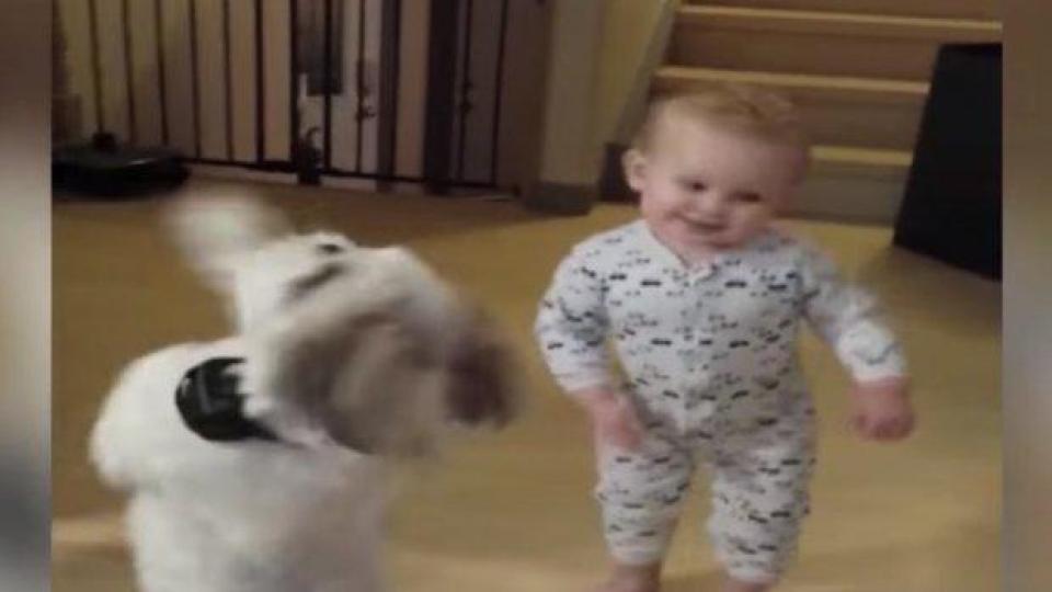 Бебе имитира куче, за да получи лакомство (ВИДЕО)