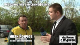 Господарите влизат във фермата, където хранят прасета с брашно от трупове на животни