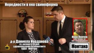 10 000 лв. глоба за фермата, където хранят прасетата с брашно от трупове на животни