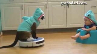 Котка управлява робот за чистене и забавлява бебе на гърне (ВИДЕО)