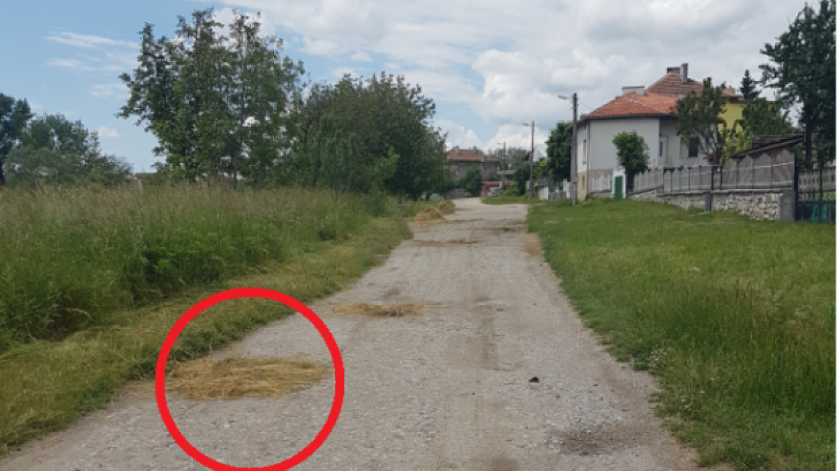 Такова запълване на дупки не сте виждали (СНИМКИ)