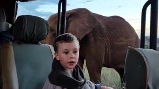 Безценната реакция на деца, които виждат слон за пръв път (ВИДЕО)