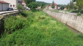 Кметовете по места не се научиха! Поредно непочистено корито на река застрашава от наводнение (СНИМКИ)
