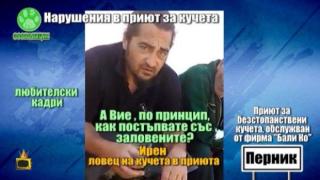 Нарушения в приют за кучета в Перник