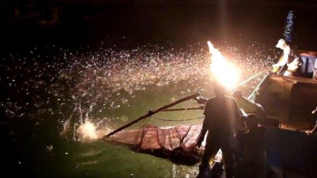 На огнен риболов в Тайван (ВИДЕО)