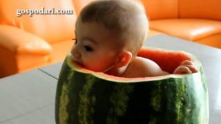 Бебе влиза в диня, за да я хапне (ВИДЕО)