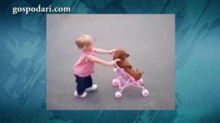 Бебе и куче