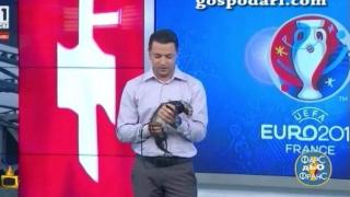 Кой е по-добър оракул - Бойко Борисов или порчето Апа?