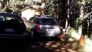 Сръчна мечка успява да се заключи в кола (ВИДЕО)