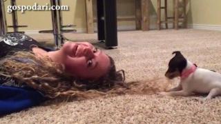 Куче прави прически на стопанката си като истински фризьор (ВИДЕО)