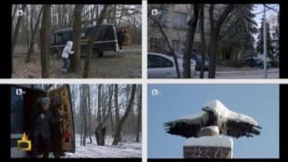 В сериала "Столичани в повече" правят гаф със снега