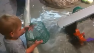 Сладур се опитва да напълни телена кофа с вода (ВИДЕО)