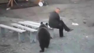 Руска смелост: Човек плаши мечка само с поглед (ВИДЕО)