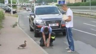 Добрият пример: Полицаи спасиха пиленца от шахта (ВИДЕО)