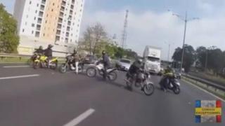 Мотористи спират движението и спасяват куче (ВИДЕО)