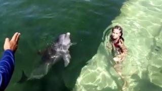 Делфин учи малко момиченце да плува (ВИДЕО)