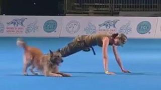 Куче тренира като войник (ВИДЕО)