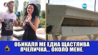 Буболечки нападат министри и репортери