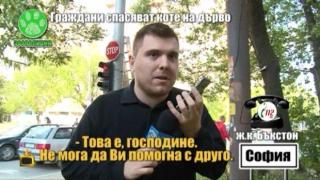 Държавата прехвърля отговорността за спасяването на животни в беда на частни организации