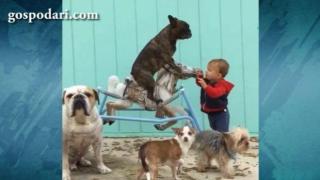 Детенце люлее куче на конче (ВИДЕО)