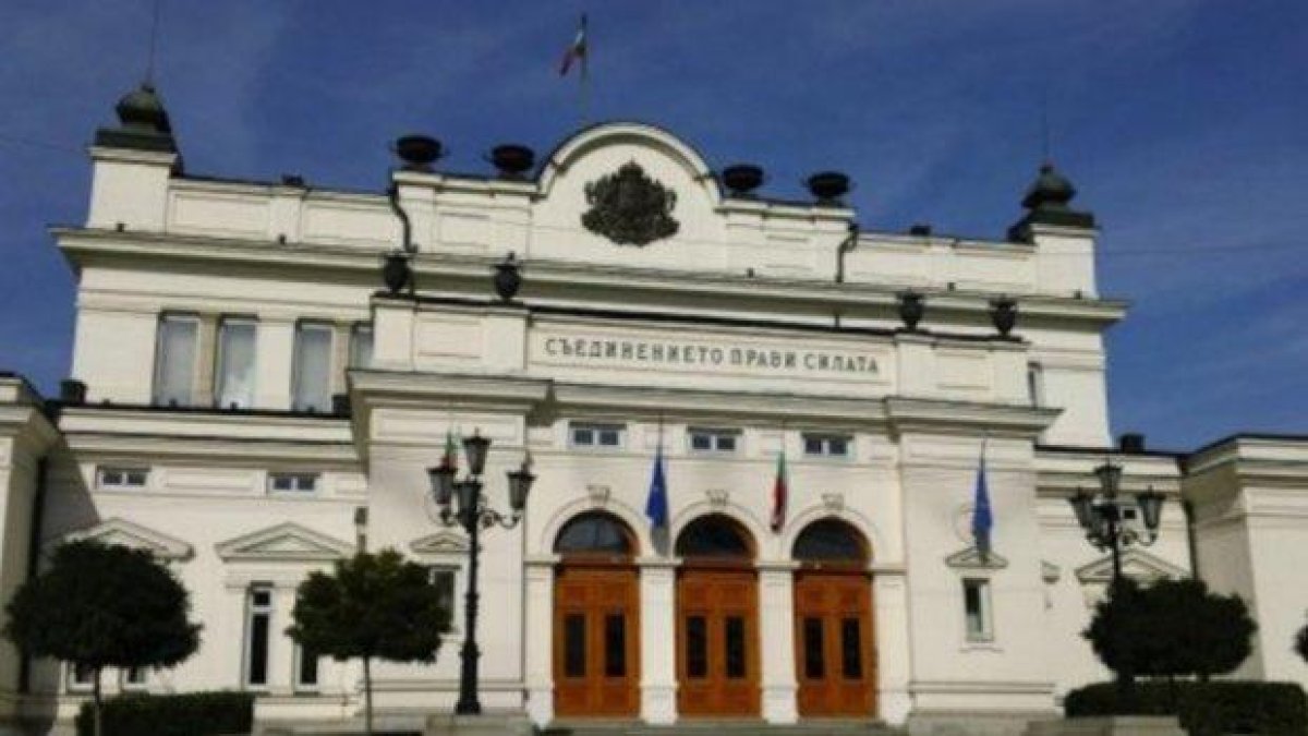 Родните депутати се скараха кой пръв е реагирал срещу скандалното изказване на Пьотр Толстой