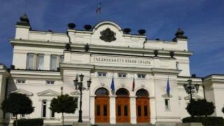 Родните депутати се скараха кой пръв е реагирал срещу скандалното изказване на Пьотр Толстой