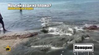 Фекални води се изливат на плаж в Поморие?