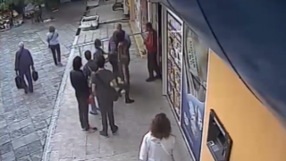 Мъж насъска питбула си срещу котка с малки в Бургас, след което я уби с нож (ВИДЕО 18+)
